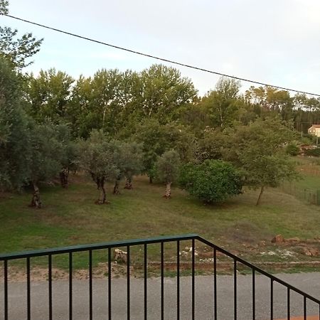 Alojamento Local - Casa Amarela Alvaiázere Dış mekan fotoğraf